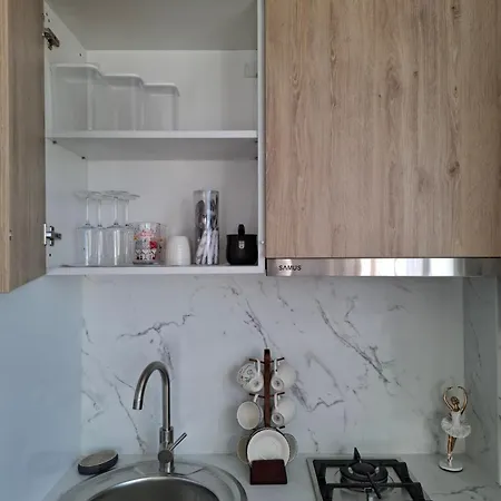 Nico House * Craiova